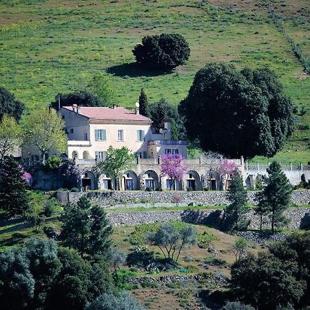 Bed and Breakfast La Ventulella Moltifao Екстер'єр фото