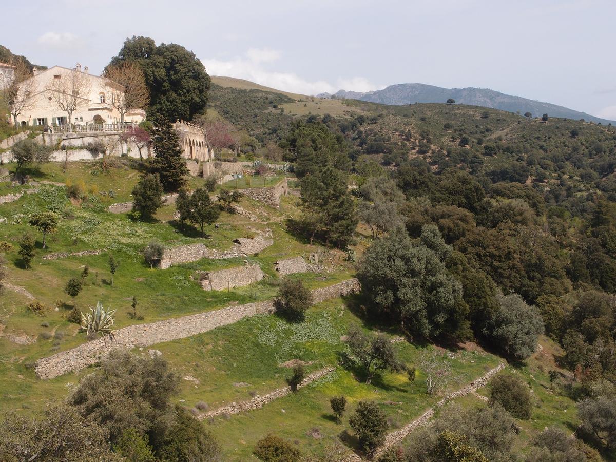 Bed and Breakfast La Ventulella Moltifao Екстер'єр фото